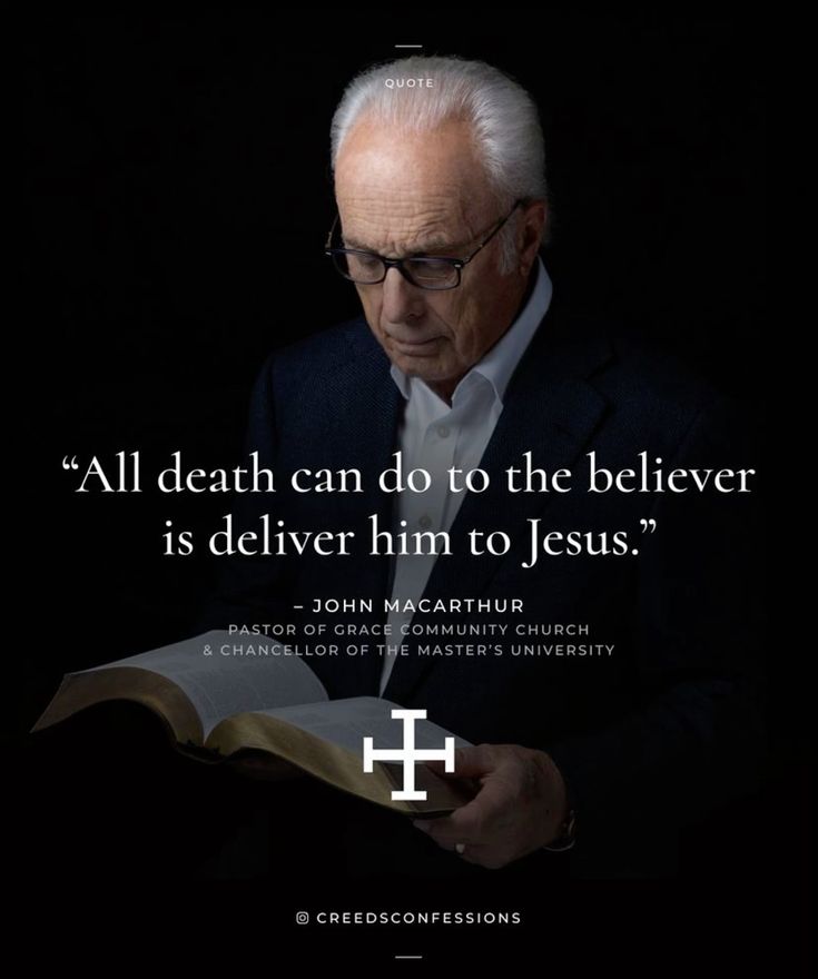 sola_chad's tweet image. 