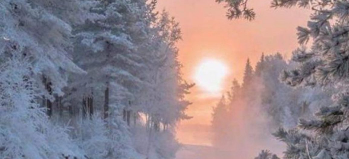 ᖴᥱყɾᥱ tweet media