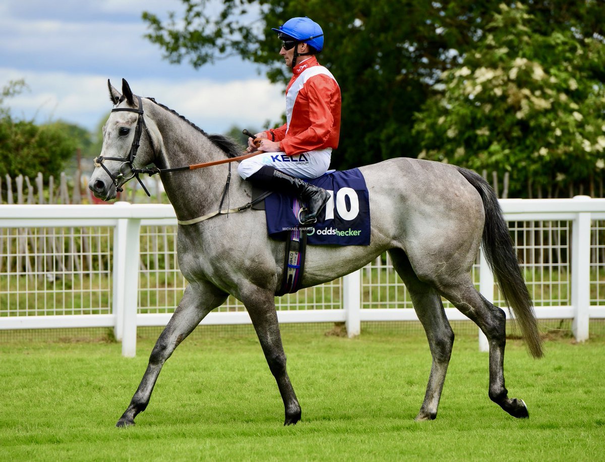 Michael Harris (@mjyharris) on Twitter photo Going through some of my photos from Epsom on Derby Day this one took my breath away.
This is the Twilight Son filly, out of a Dark angel mare, SUNFALL. What an absolute beauty.
<a href="/CPStudOfficial/">Cheveley Park Stud</a> <a href="/omeararacing/">David O'Meara</a> Going through some of my photos from Epsom on Derby Day this one took my breath away.
This is the Twilight Son filly, out of a Dark angel mare, SUNFALL. What an absolute beauty.
<a href="/CPStudOfficial/">Cheveley Park Stud</a> <a href="/omeararacing/">David O'Meara</a>