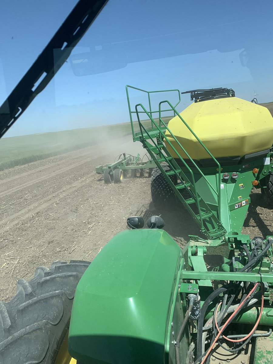 pollart22's tweet photo. Hypothetically speaking, if there was someone holding a gun to my head and they said “Dig and find millet seed in the ground that you planted in a reasonable amount of time”, i’m taking that bullet right to the head cause it ain’t happening 🤣 https://t.co/WtcsredDrg