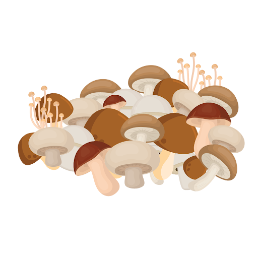 Educate your team and students with fun, informative materials about the #health 💪 and #sustainability 🌏  benefits of mushrooms bit.ly/3EFZtAP  #KidsEatMushrooms2 #ChildNutrition