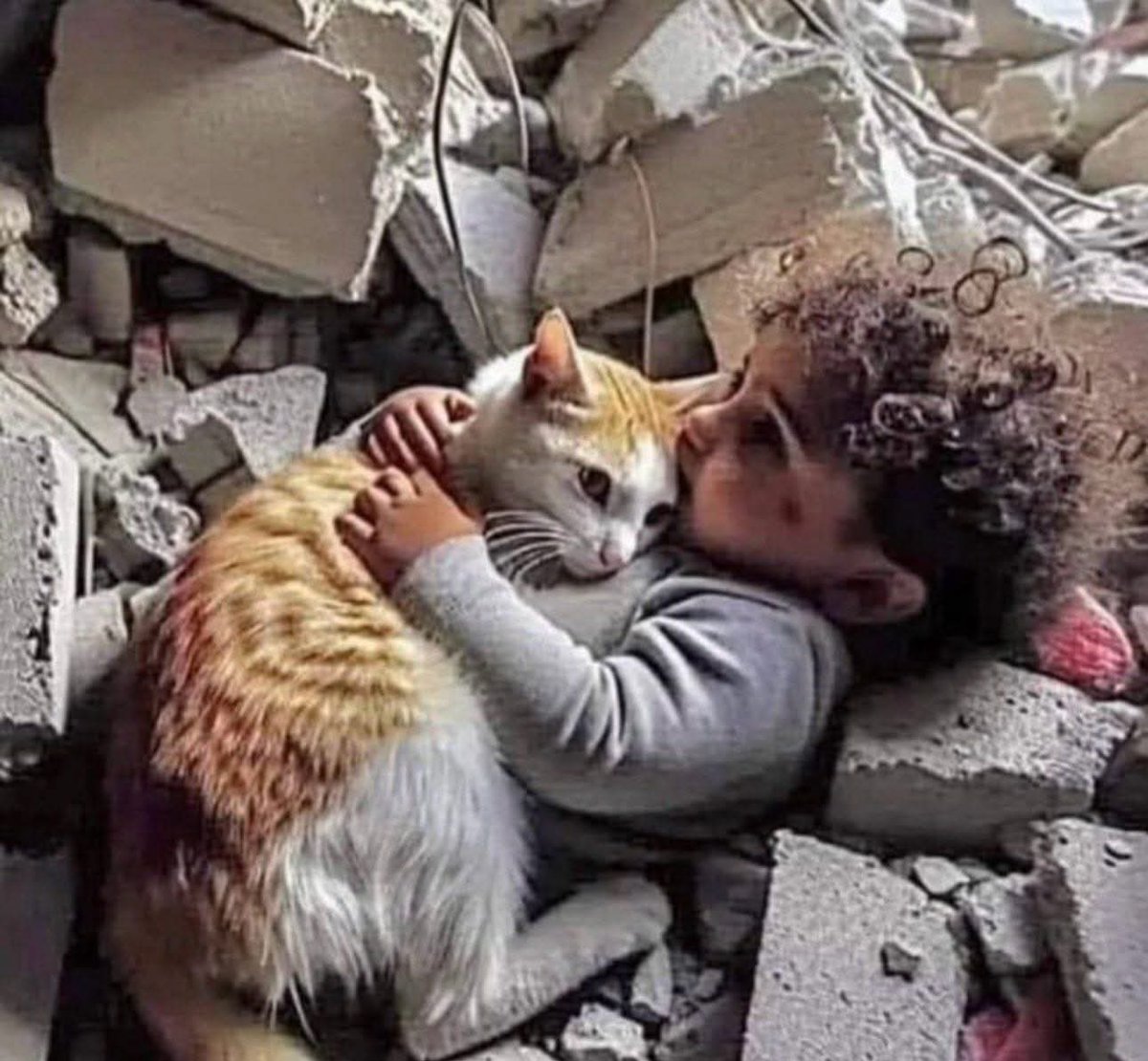Müslüman sanalda salavat zinciri oluşturduğu kadar; gerçekte o zincirin bir halkası olsaydı, Ümmetin çocukları vurulup ölmezdi bu gün..!!

Hayırlı Cumalar 
#freedomconvoy