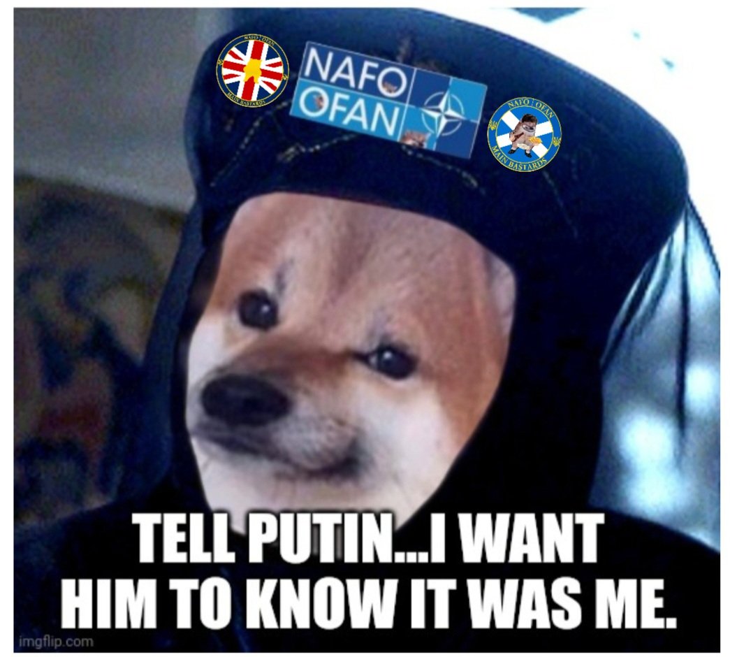 Vetmed_Fella's tweet photo. @U24_gov_ua I love all of them! And all the fellas who made this possible #NAFOExpansionIsNonNegotiable #thereisnoCIA https://t.co/CYJ8jD0Vmc