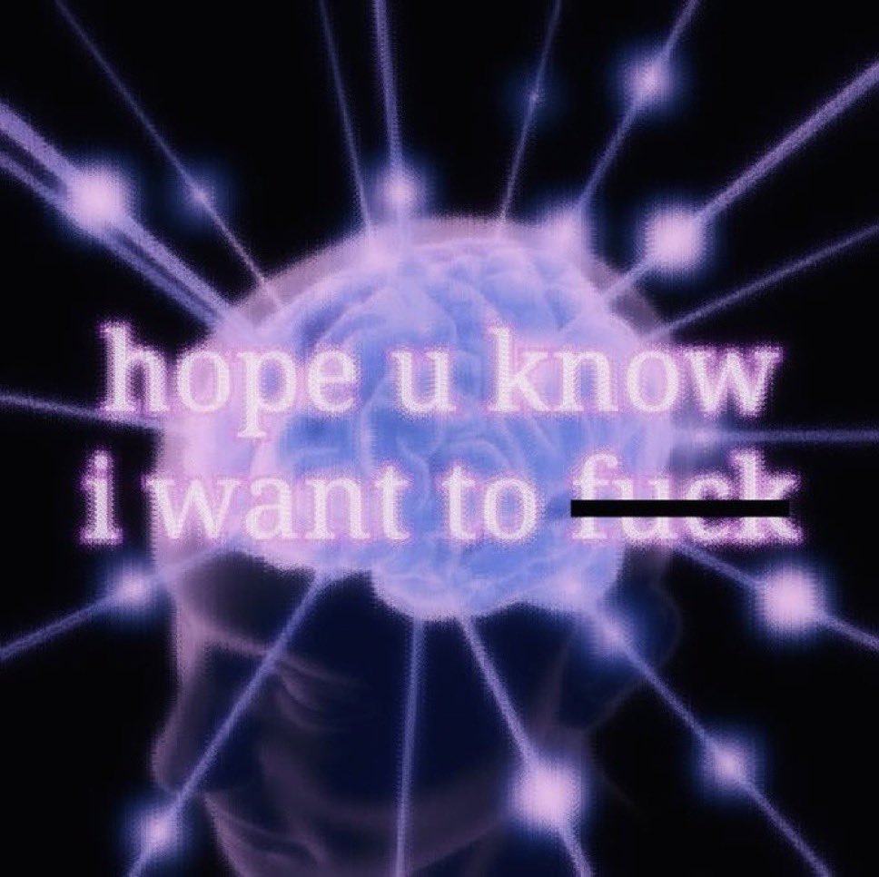 not cute & kinky memes tweet media