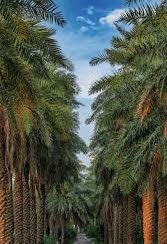 كل عيد والكل بخير ومحبة وسلام ورحمة … 
#عيد_الغدير 
#سوريا