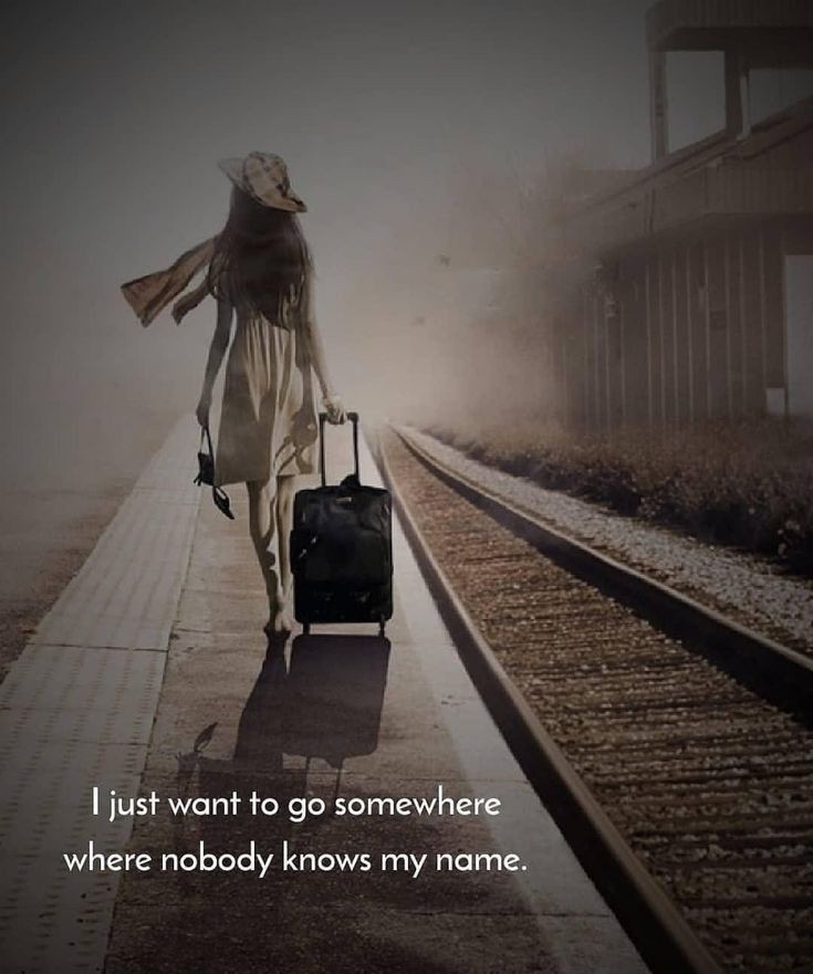 فاری ہاشمی سیّد tweet media