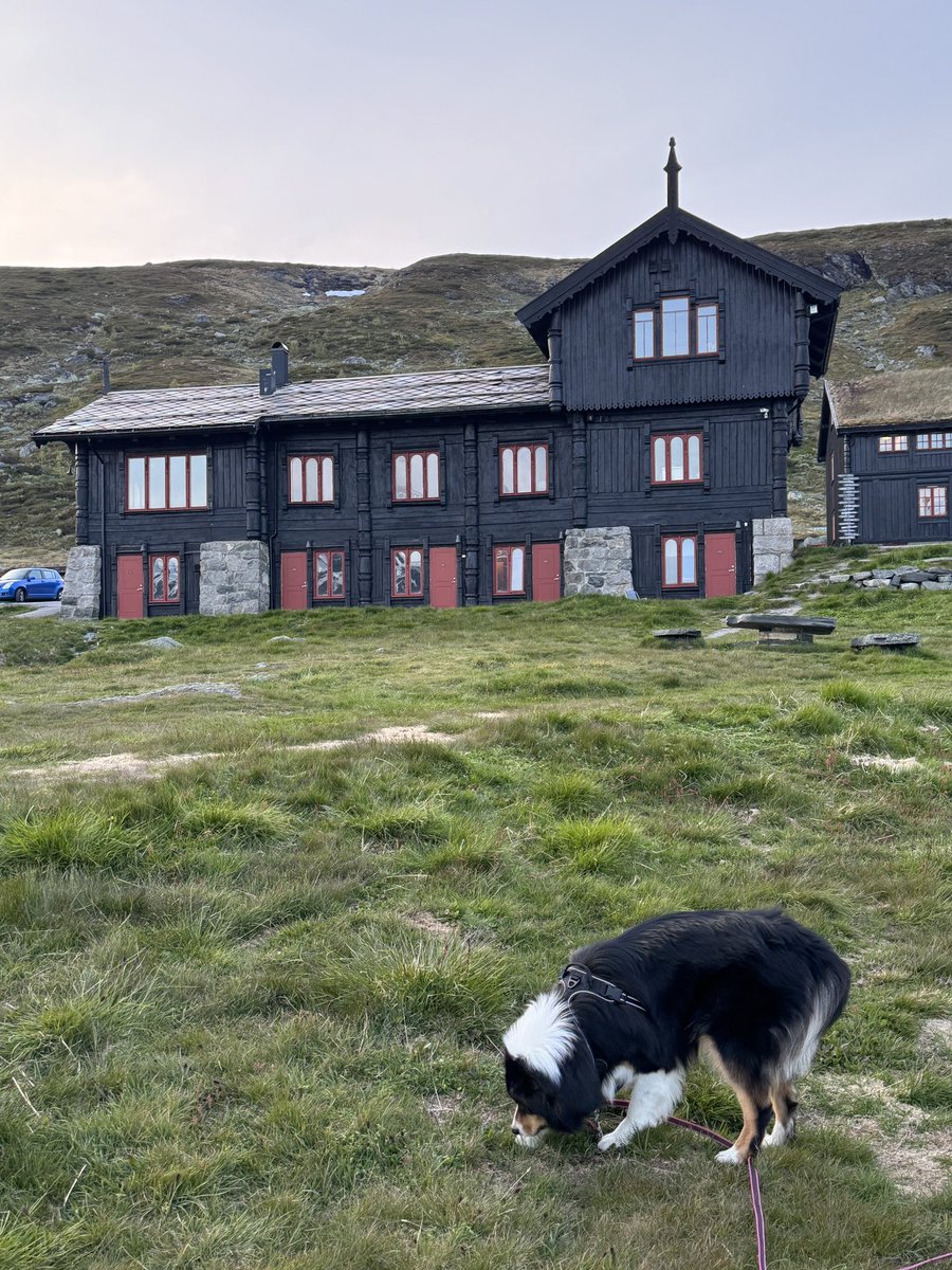 Miniferie. Kjøøør Hardangervidda ❤️