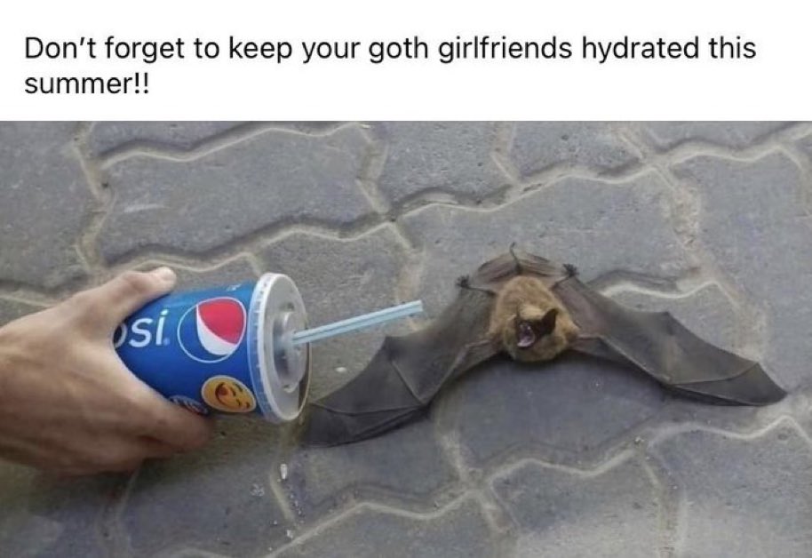 !!!!!!!!!!!!!!