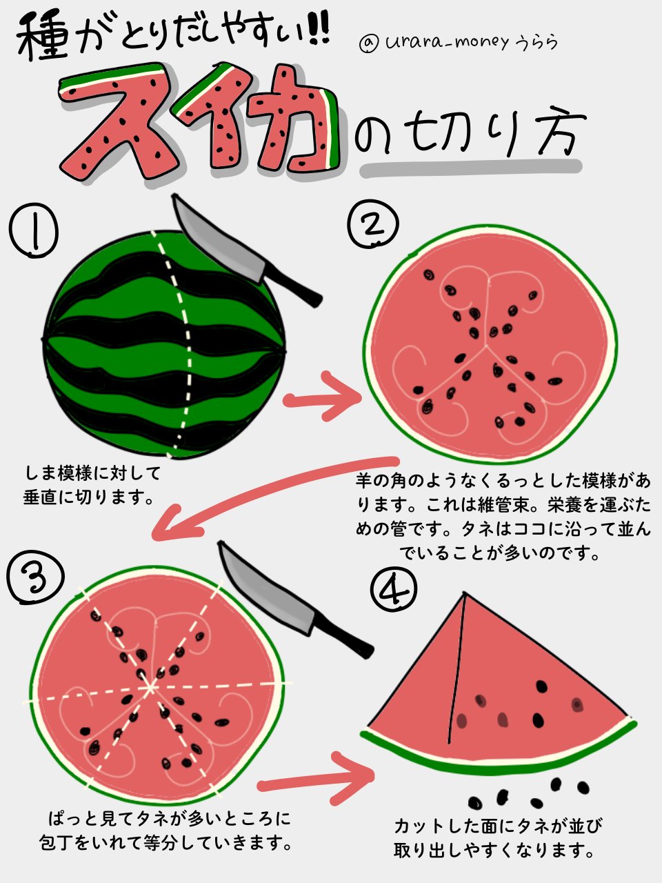 スイカリング ミオハルタカ お好きな方に （卯年を祝して纏い