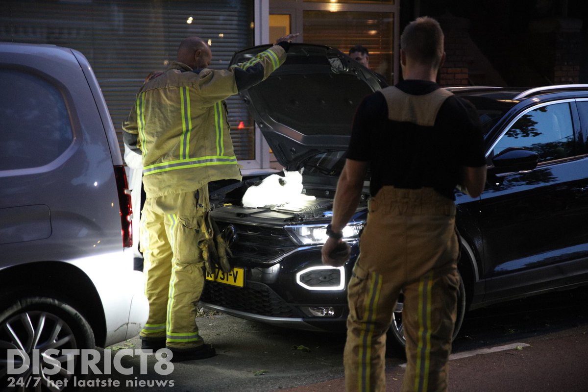 Brandweer ingeschakeld voor kat in motorruimte in Den Haag