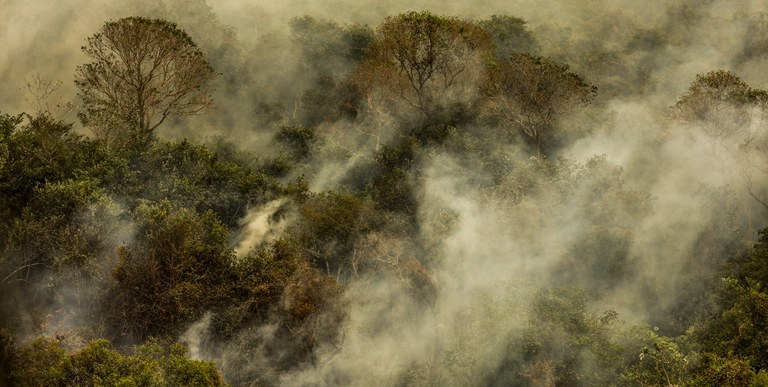 CanalGov (@canalgov) on Twitter photo MEIO AMBIENTE | <a href="/mmeioambiente/">Ministério do Meio Ambiente e Mudança do Clima</a> anuncia editais com R$ 34,5 milhões para financiar ações de prevenção e combate a incêndios florestais. Montante apoiará, no mínimo, 32 municípios nos biomas da Amazônia e Pantanal.
📷Marcelo Camargo/Agência Brasil MEIO AMBIENTE | <a href="/mmeioambiente/">Ministério do Meio Ambiente e Mudança do Clima</a> anuncia editais com R$ 34,5 milhões para financiar ações de prevenção e combate a incêndios florestais. Montante apoiará, no mínimo, 32 municípios nos biomas da Amazônia e Pantanal.
📷Marcelo Camargo/Agência Brasil