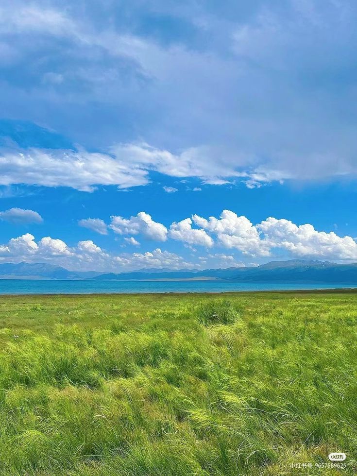 greenvibe's tweet photo. nature https://t.co/1bWeeKSiuZ