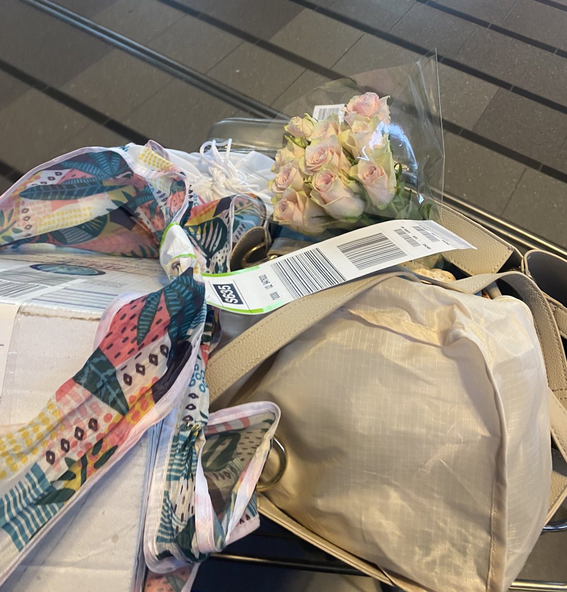 Dag Nederland ✈️