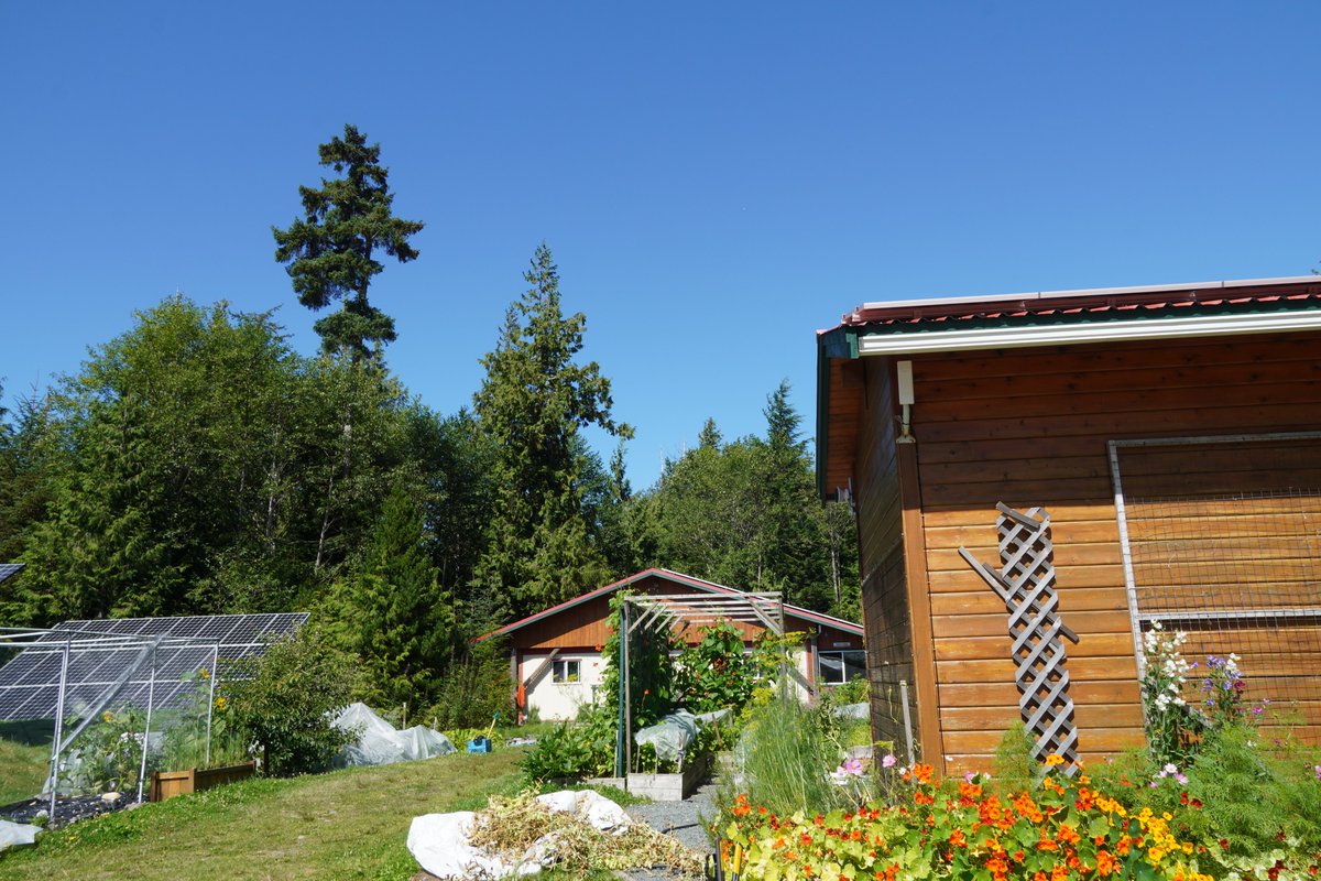 HakaiInstitute's tweet image. Read about how Christina Munck uses kelp and other seaweeds left on the shores of Calvert Island to nourish  the gardens at the Hakai Institute facilities, which boast potatoes, garlic, herbs, berries, and more 🔗 tinyurl.com/6h9e2kx4