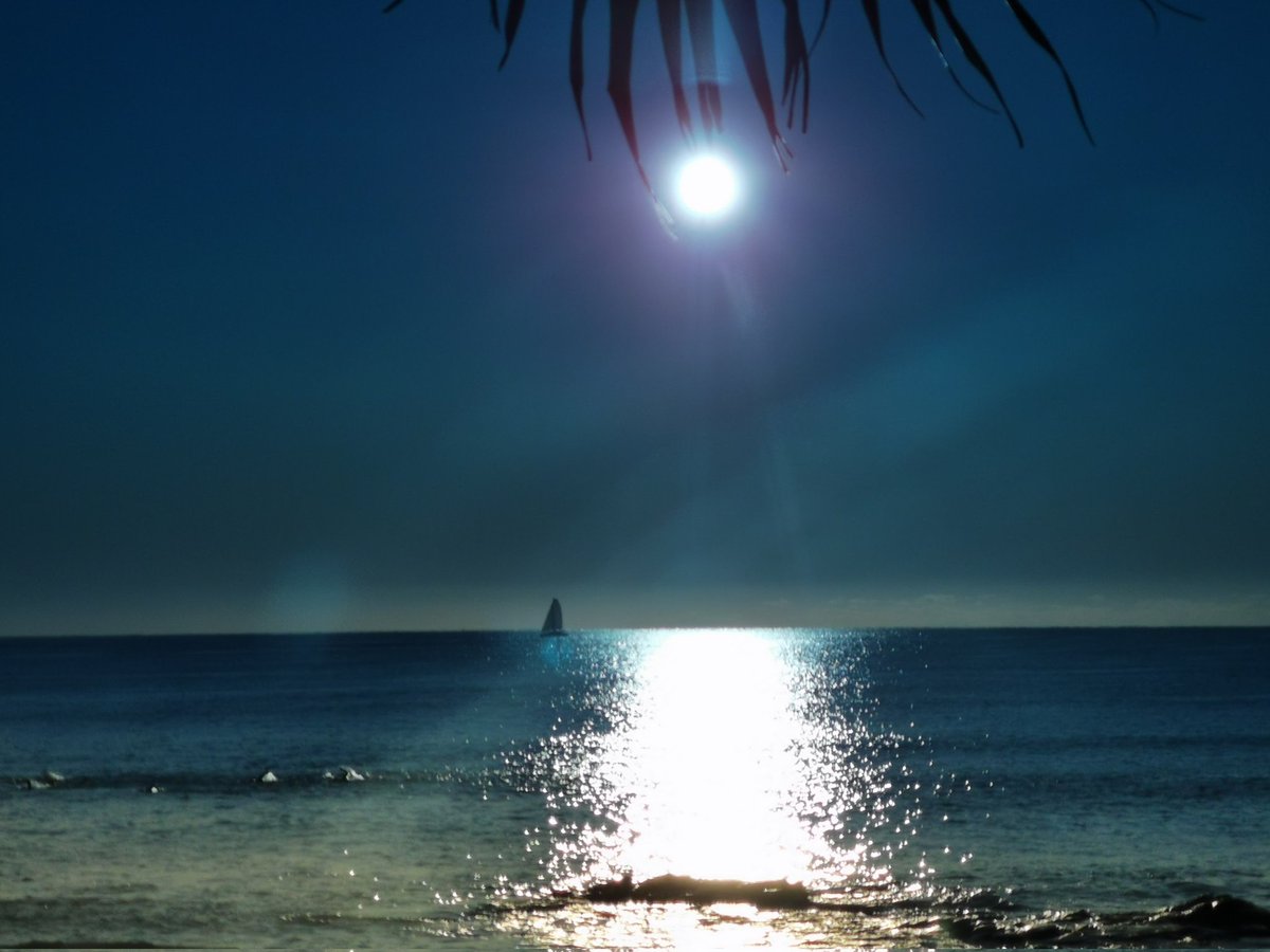SteveLindquist9's tweet photo. G'day everyone.
Mooloolaba, Sunshine Coast,Qld Australia.
#landscapephotograph #lindquistphotography #mooloolaba #sunshinecoast #sunrise #mooloolababeach https://t.co/jgwhcP42qN