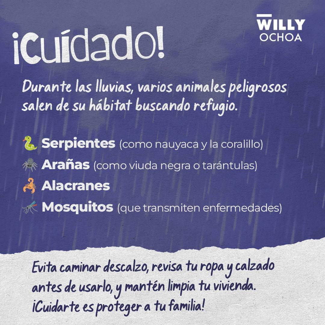 Con tanta lluvia, no es raro que salgan culebras, alacranes o arañas a buscar techo… ¡y a veces lo encuentran en tu casa!

Así que cuídense mucho, ya saben que más vale prevenir.