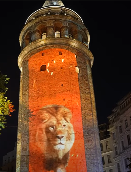 Galatasaray'ın Galata Kulesi'ne yansıttığı ışık şovu başladı.