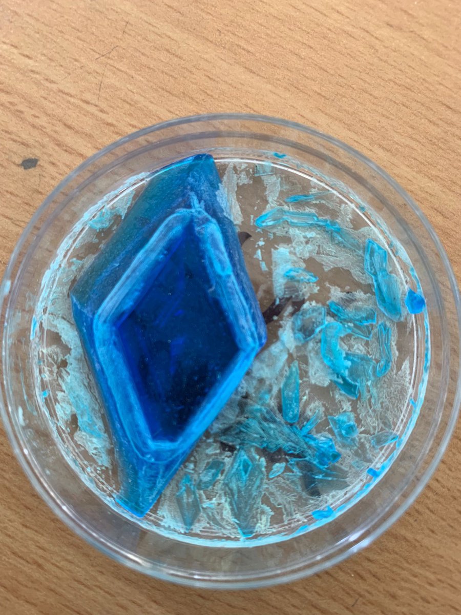 ForresScience's tweet image. Look at the fabulous crystals grown by 1N1 (now 2N1) in Science over the last few weeks from saturated solutions 🌟 @forresacademy1