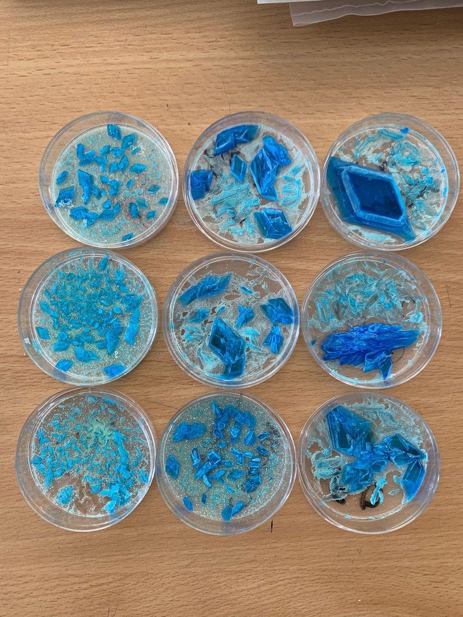 ForresScience's tweet image. Look at the fabulous crystals grown by 1N1 (now 2N1) in Science over the last few weeks from saturated solutions 🌟 @forresacademy1