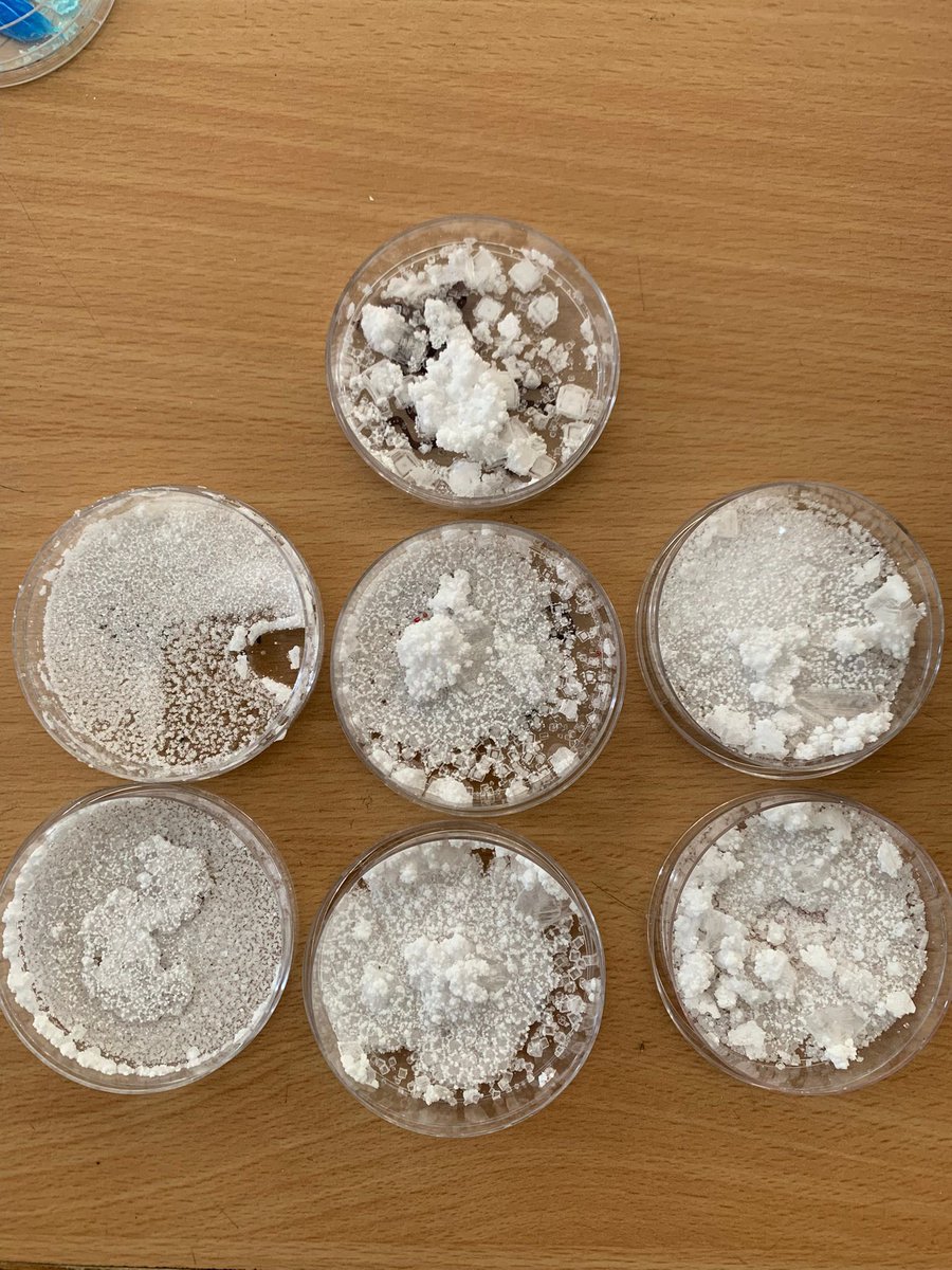 ForresScience's tweet image. Look at the fabulous crystals grown by 1N1 (now 2N1) in Science over the last few weeks from saturated solutions 🌟 @forresacademy1