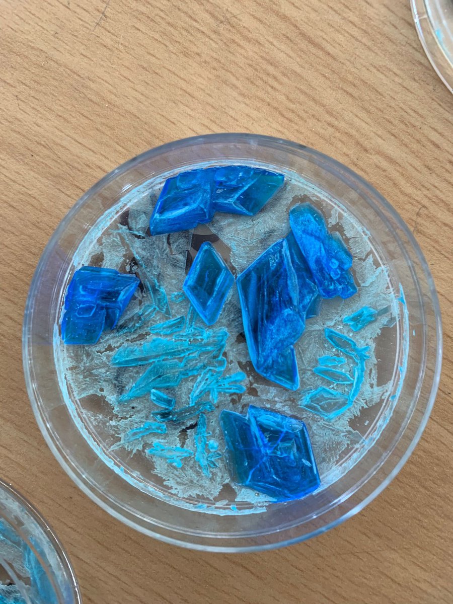 ForresScience's tweet image. Look at the fabulous crystals grown by 1N1 (now 2N1) in Science over the last few weeks from saturated solutions 🌟 @forresacademy1
