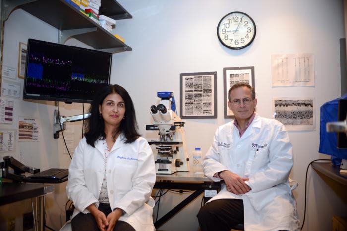 Michael F. Chiang, MD (@neidirector) on Twitter photo A strategy to enhance gene therapy may improve outcomes for patients with progressive vision loss from inherited retinal degenerations.
#NIHfunded <a href="/PennMedNews/">Penn Medicine News</a>
<a href="/MolTherapy/">Molecular Therapy</a> paper:
brnw.ch/21wTmoS A strategy to enhance gene therapy may improve outcomes for patients with progressive vision loss from inherited retinal degenerations.
#NIHfunded <a href="/PennMedNews/">Penn Medicine News</a>
<a href="/MolTherapy/">Molecular Therapy</a> paper:
brnw.ch/21wTmoS