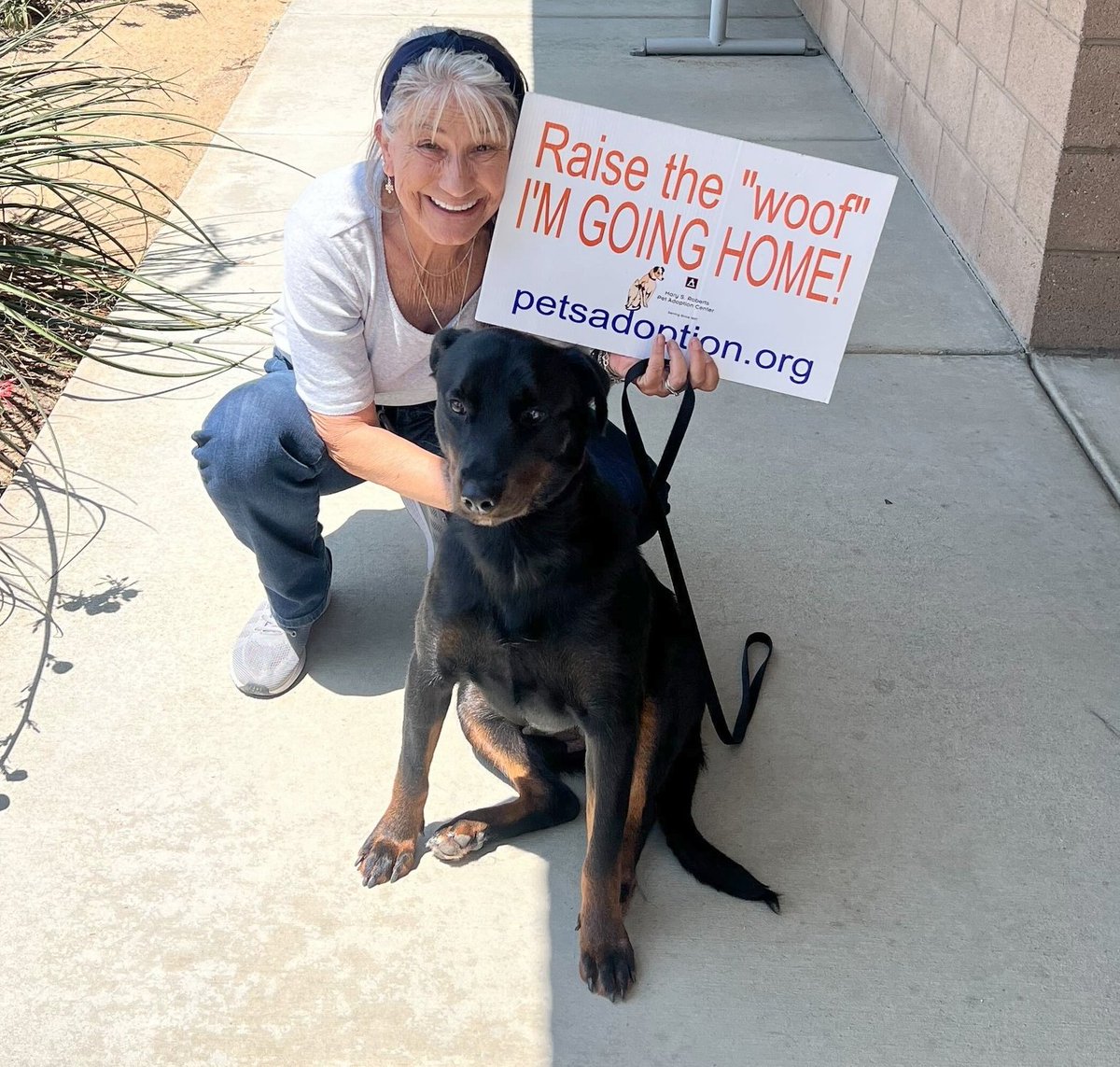 90 PETS got ADOPTED last week!! 😍😍😍

Pictured is LUCY!

TYSM adopters &amp; petsadoption.org

Mary S. Roberts Pet Adoption Center 

6165 Industrial Ave, Riverside, CA 

Phone: (951) 688-4340

Visit them in person Wed - Mon, 12pm - 7pm 

Visit your local animal shelter today