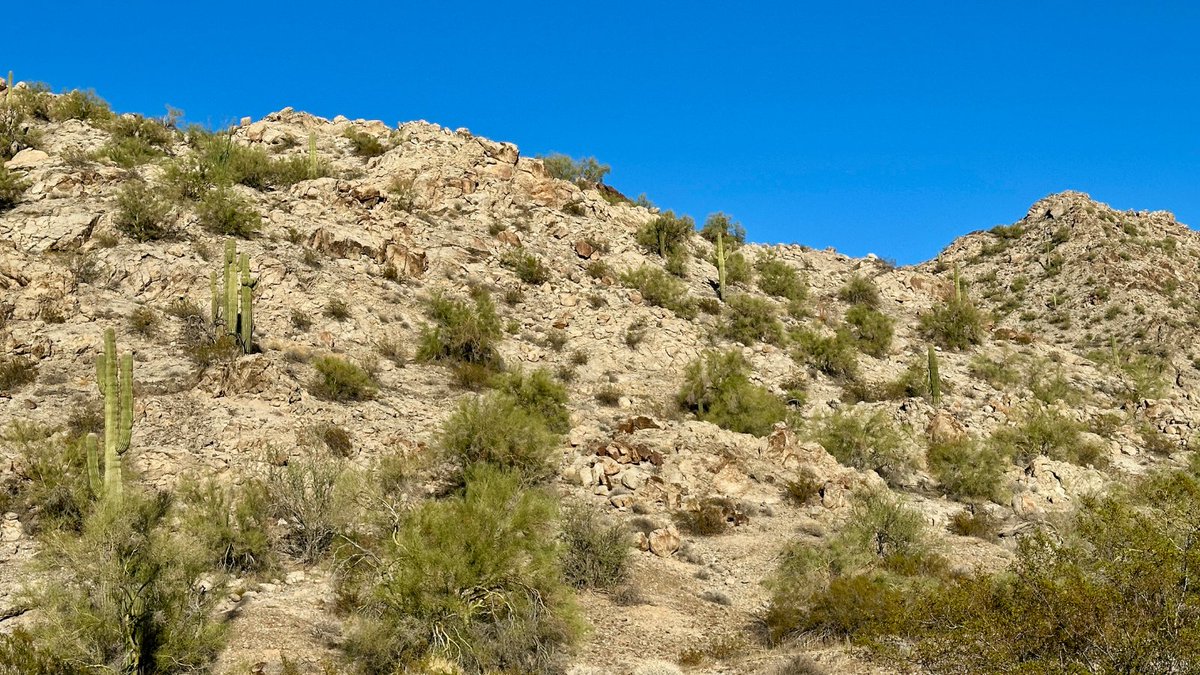 ASU_SGSUP's tweet image. Meet DeVona Saiter — #SGSUP planning alumna, community leader, and proud resident of Wenden, AZ working to preserve her hometown’s heritage. 🌵
From flooding to groundwater issues, learn how Saiter is helping to shape a resilient future for this rural community:…