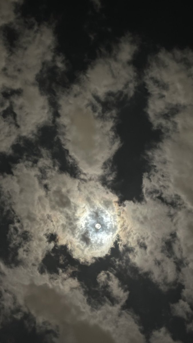 " قبيل الفجر في صحبة نفسي " 
الساعة تشير إلى الثانية بعد منتصف الليل
وأنا وحدي وسعيدة
الليلة قمرا مضيئة وجميلة كالأشجار من حولي
والهواء بارد نقي يلامس القلب بلطف
الجمعة تحيطني بهدوئها والليل يتهيأ لوداعه
والفجر يقترب بخطاه الهادئة الحنونة
أقرأ، أكتب، أرتّب افكاري واشرب قهوتي