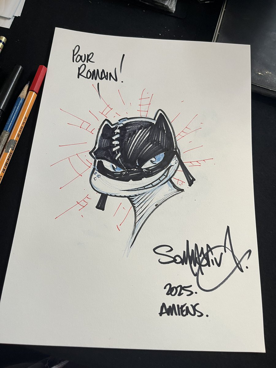 JonSommariva's tweet image. Some of the Batman TMNT Adventures remark requests I got in France at the comics festival last week.