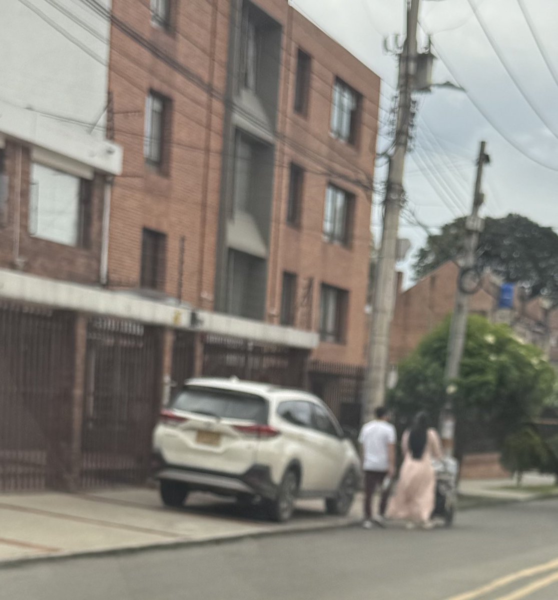 Analucia Zarama tweet media