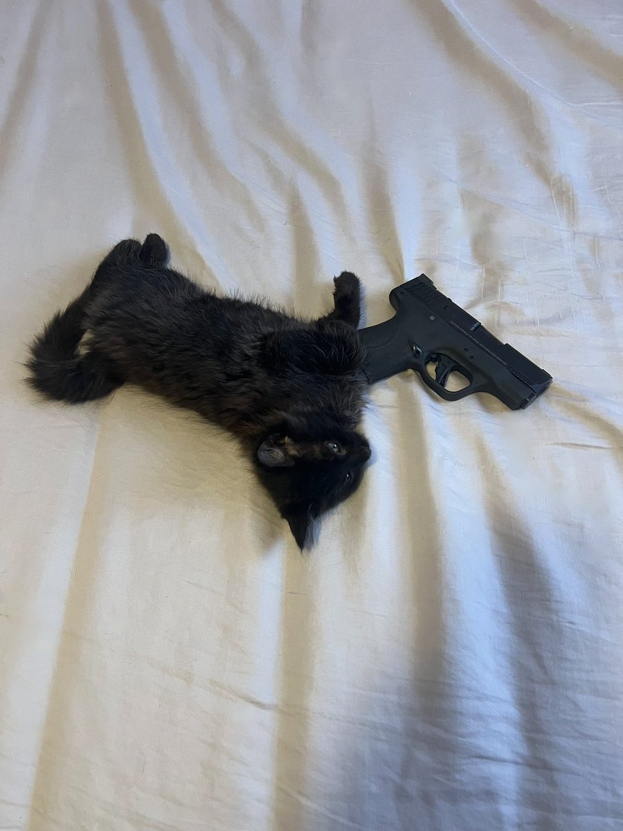 The Redheaded libertarian tweet media