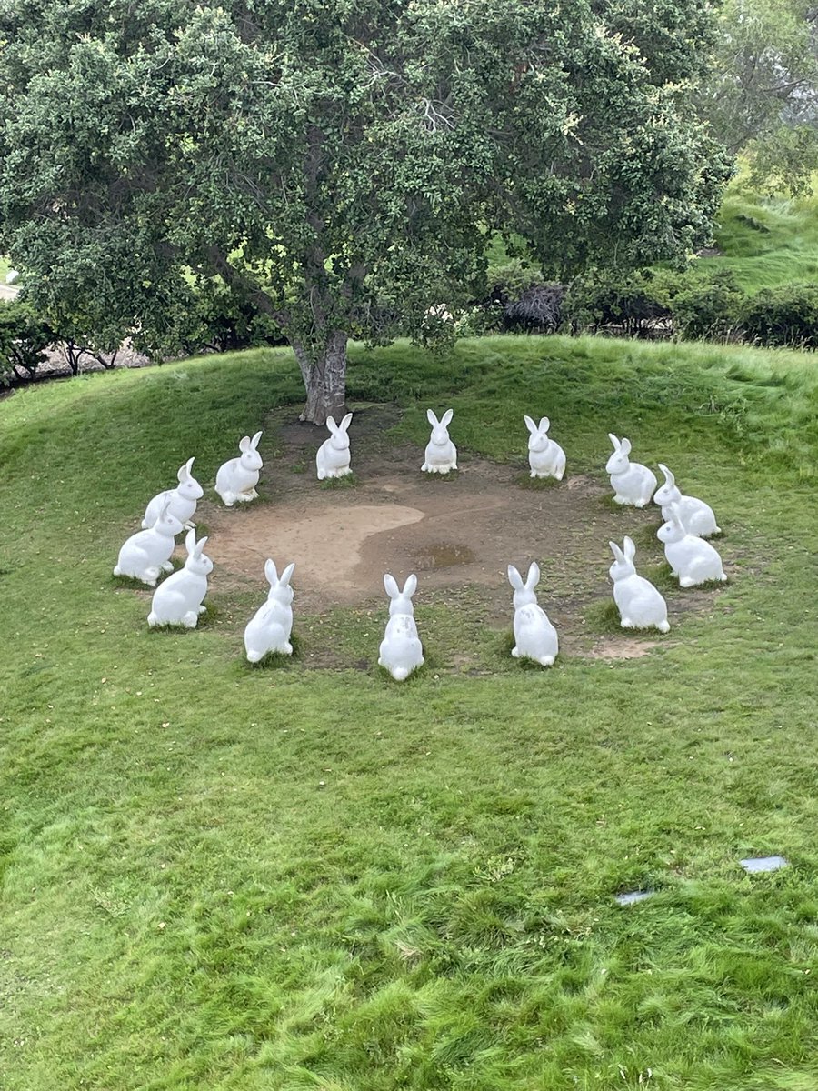 Bunnyhenge!
#newportbeach