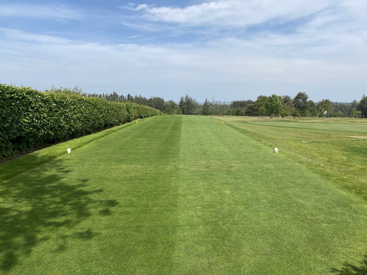 Blair Shearer (@blairshearer3) on Twitter photo With the amount of play on the golf course increasing all the time, bigger tees are required to cope with the extra wear. The new 4th tee has been a great addition ⛳️ <a href="/GiffordGolf/">GiffordGolfClub</a> <a href="/BIGGALtd/">British & International Golf Greenkeepers Assn.</a> With the amount of play on the golf course increasing all the time, bigger tees are required to cope with the extra wear. The new 4th tee has been a great addition ⛳️ <a href="/GiffordGolf/">GiffordGolfClub</a> <a href="/BIGGALtd/">British & International Golf Greenkeepers Assn.</a>