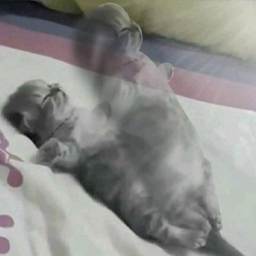 no cabal no sniper no insider
A3xXF29PXHP4cBkCLftvbRxdNUF1iZjbYMbfqY6pump