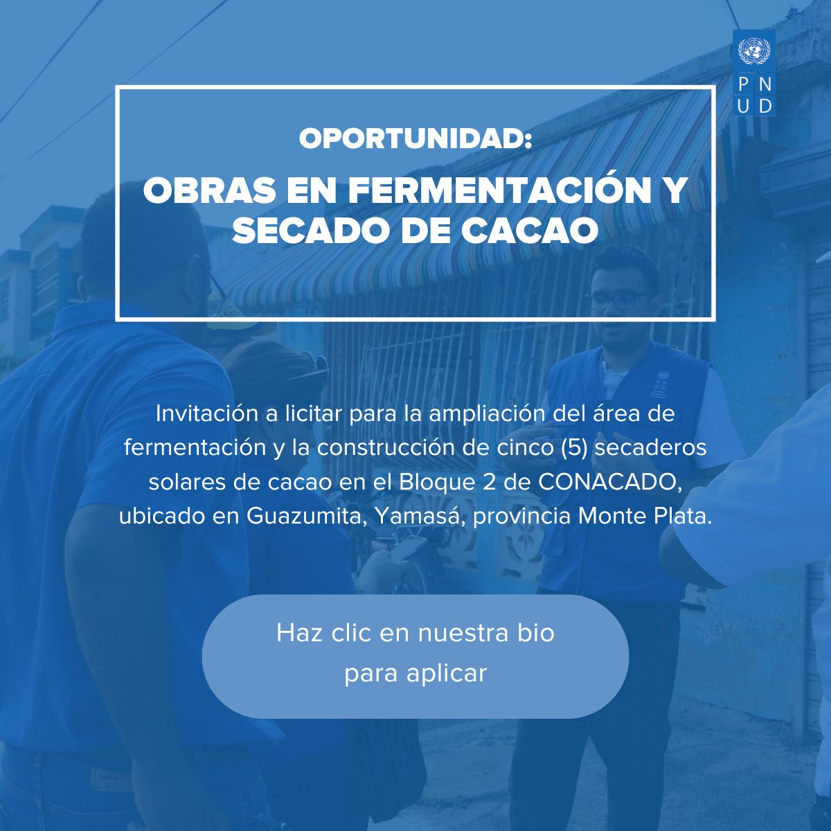 ¡Te invitamos a participar en estas oportunidades de consultoría y licitación! Más info en el enlace: undp.org/es/dominican-r…  #VacantesPNUD