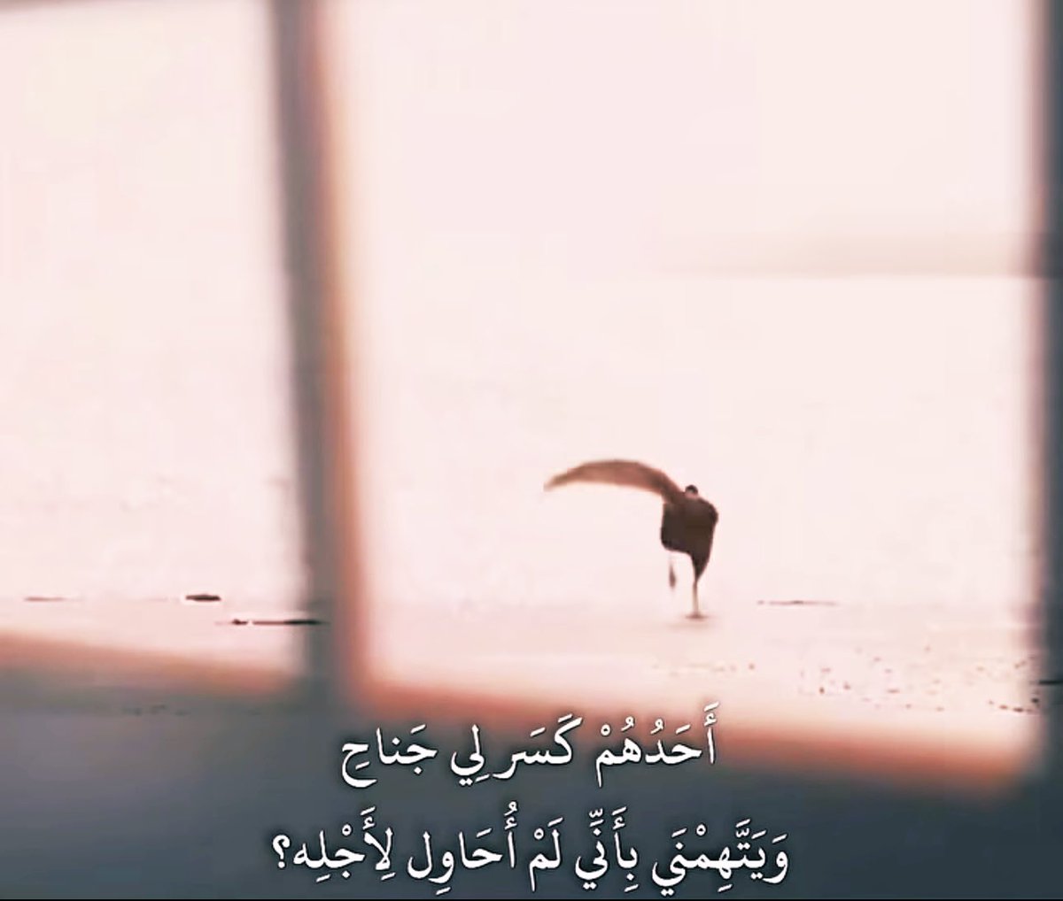 عذبي الناصر (@3athby) on Twitter photo 