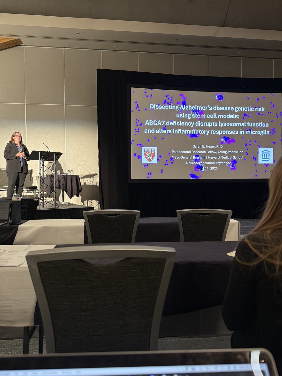 YoungPearseLab's tweet image. Highlights from our lab at the @KeystoneSymp Neurodegeneration meeting!
@Heuerwego delivered an excellent talk on ABCA7 loss and microglial dysfunction in Alzheimer’s!
@alexlish47 presented a great poster on CLU and intercellular communication in Alzheimer’s!
