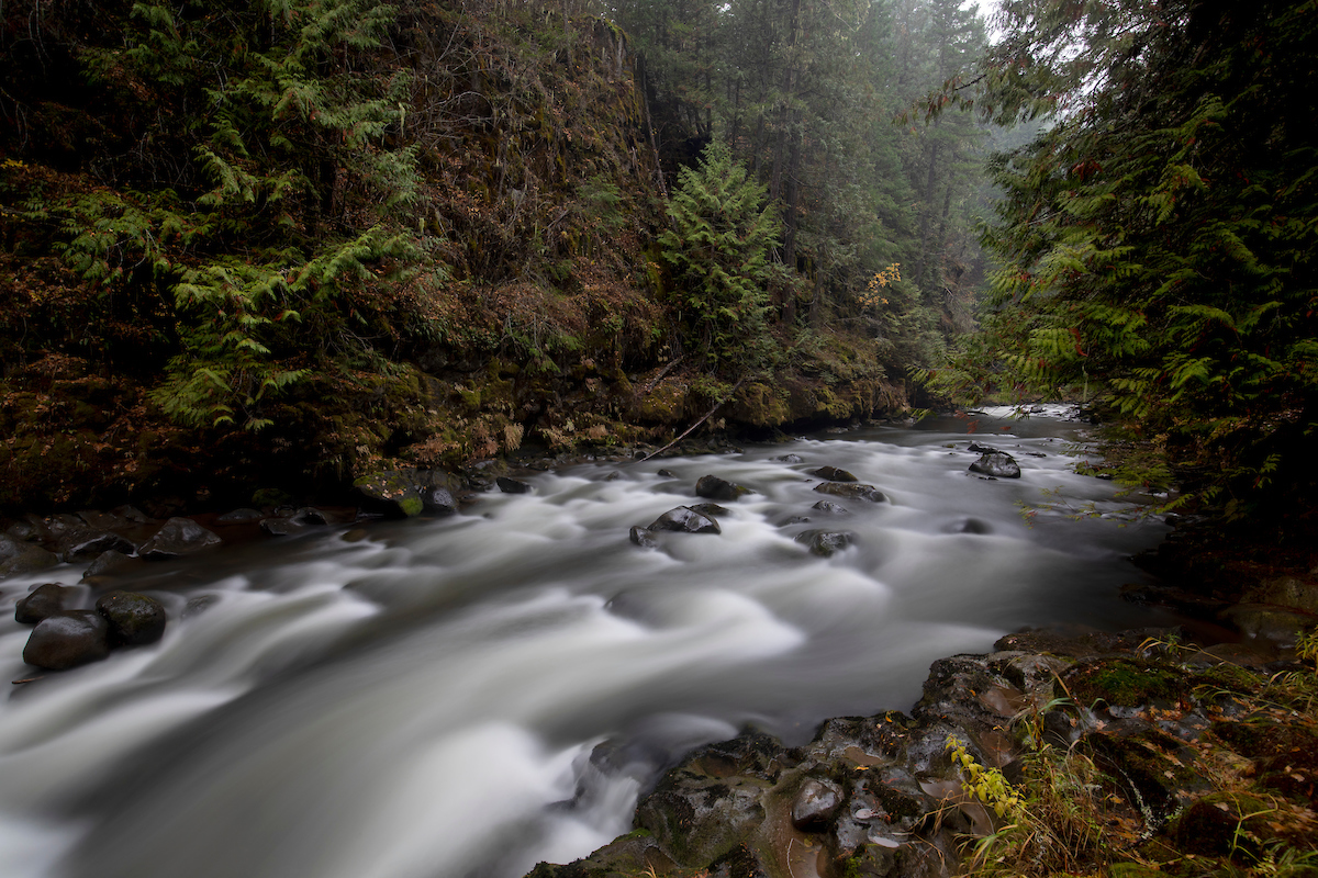 Photo credit: Ian Shive
Just hours from Portland, the White Salmon River is coming back to life. We're proud to support <a href="/ConservationFnd/">The Conservation Fund</a> &amp; Yakama Nation restoring 5 miles of salmon habitat. But we're not off the hook yet — help us keep the current flowing. 🌊🐟