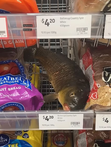 AzaelOP's tweet photo. Pues nada mi gente aquí yendo de compras https://t.co/V65WHImc9r