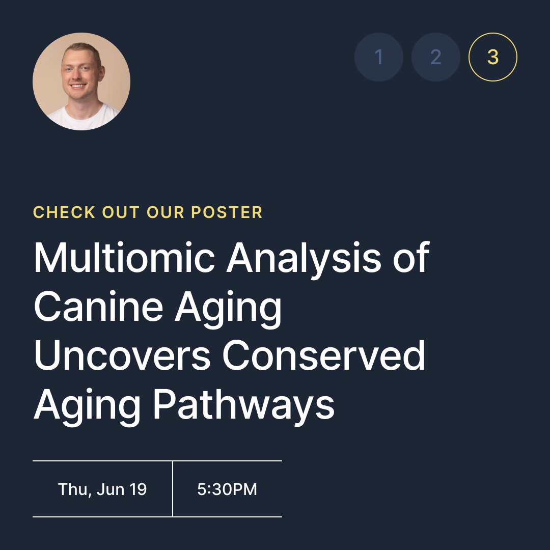 loyalfordogs's tweet image. Headed to #2025ACVIMForum? Join Loyal on June 19 for CE sessions with Dr. Brennen McKenzie + a poster by Matt Peloquin, Loyal’s VP of Research, on canine aging. Visit us at Booth 637 for study summaries & a science chat.
See our ACVIM schedule here → loyal.com/for-vets#ce-pr…