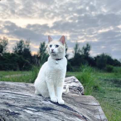 #nieuweprofielfoto