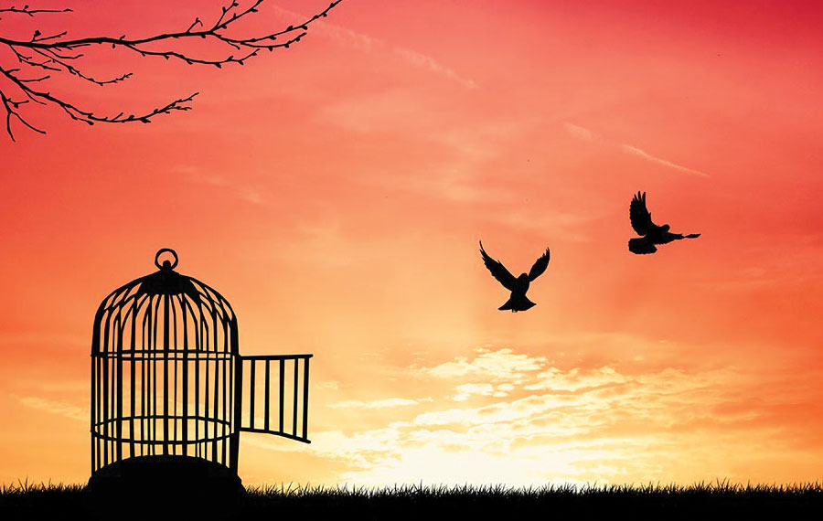 CoachDBA's tweet image. WHY DO YOU TRADE!? 🤔

I'll go first.... 

When I was 8 or 9, I saw friends and family trapped in a relentless struggle with money. They’d work tirelessly, earn a paycheck, and watch it vanish the same day. It broke my heart—and I knew I wanted out. I refused to spend my life…