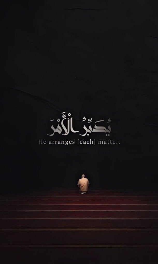مُطمئِنةَ.! tweet media