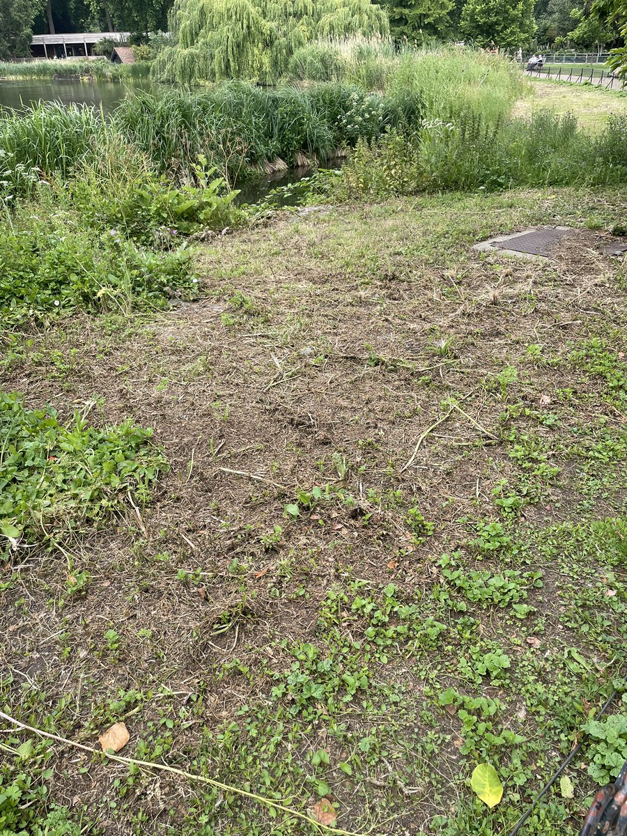 SaveVictoriaTowerGdn tweet media