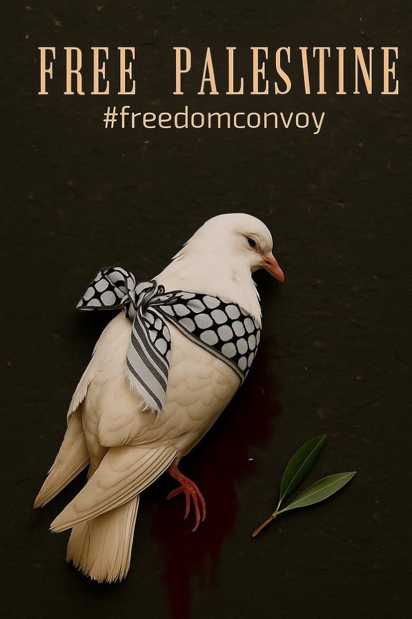 "Sakın ümidini kesenlerden olma."
Hicr/55
#freedomconvoy