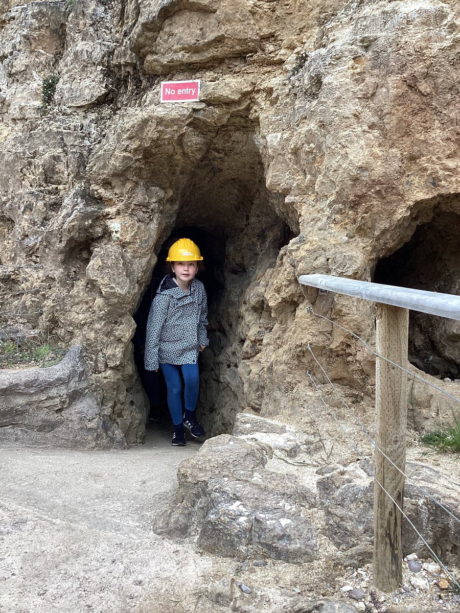 Ashdene Primary School tweet media