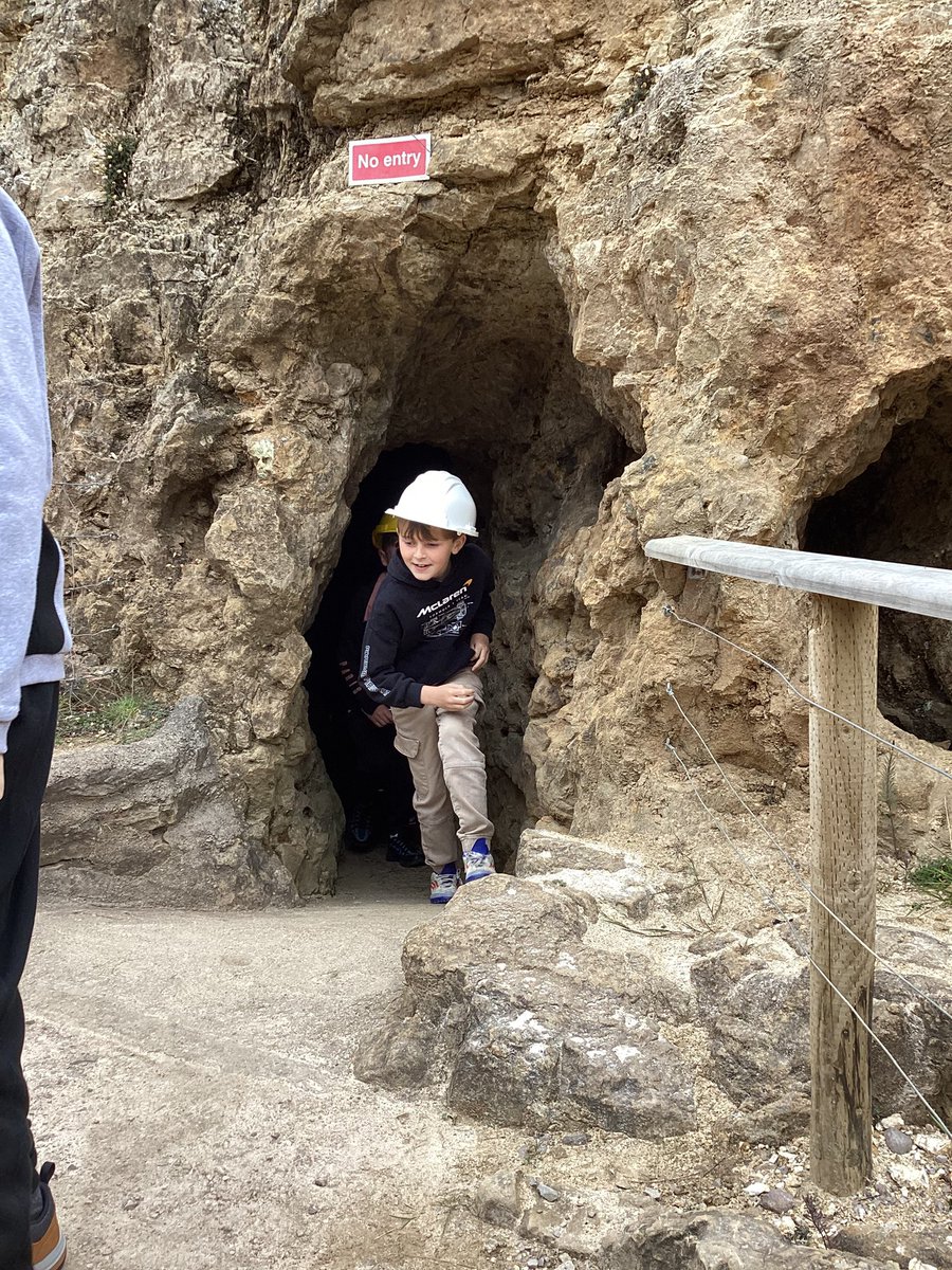 Ashdene Primary School tweet media