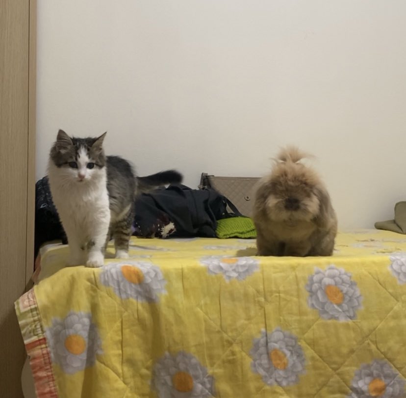 Adubonii's tweet photo. anlamları♥️ https://t.co/PdZRGTedYU
