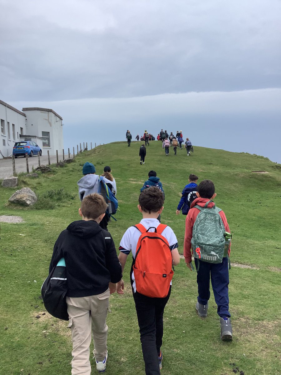 Ashdene Primary School tweet media